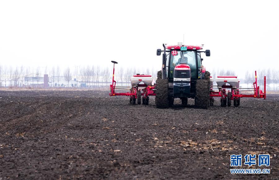 (在習(xí)近平新時(shí)代中國(guó)特色社會(huì)主義思想指引下——新時(shí)代新作為新篇章·習(xí)近平總書(shū)記關(guān)切事·圖文互動(dòng))(10)春耕忙 信心足——谷雨時(shí)節(jié)走馬東北直擊糧事