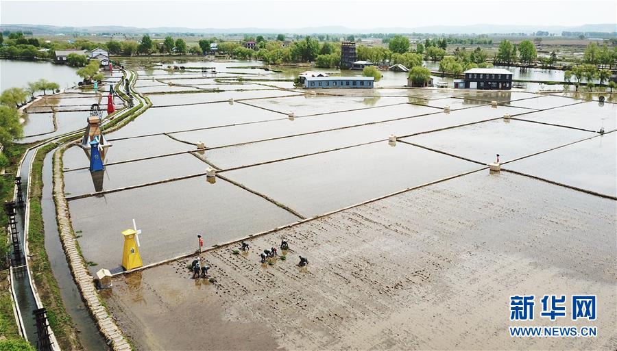 (在習(xí)近平新時(shí)代中國特色社會(huì)主義思想指引下——新時(shí)代新作為新篇章·習(xí)近平總書記關(guān)切事·圖文互動(dòng))(1)讓每一寸耕地都成為豐收的沃土——我國加強(qiáng)耕地保護(hù)推進(jìn)“藏糧于地”
