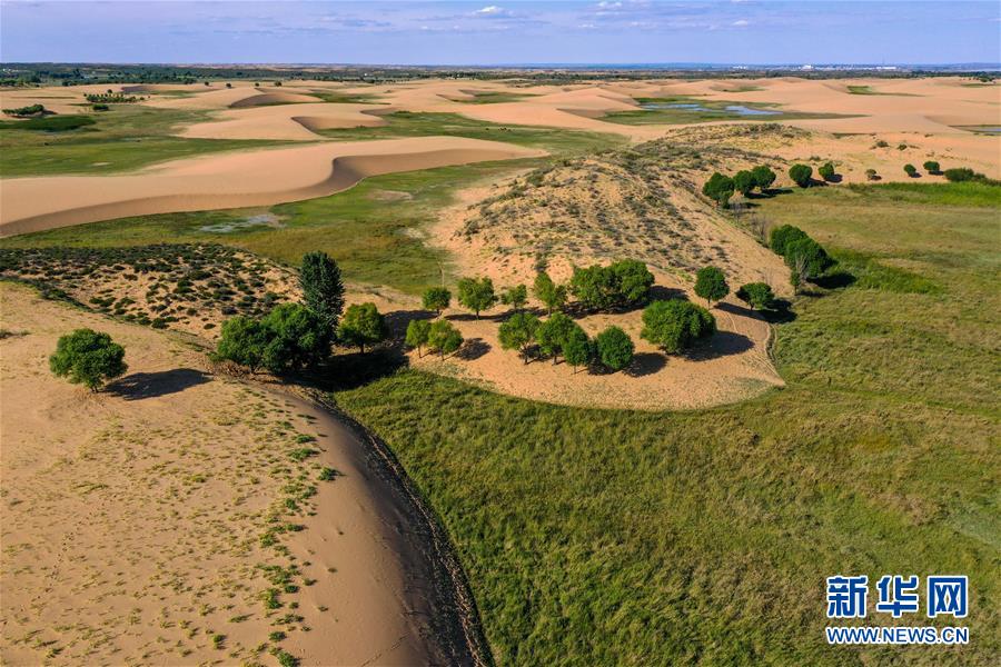 （在習(xí)近平新時代中國特色社會主義思想指引下——新時代新作為新篇章·習(xí)近平總書記關(guān)切事·圖文互動）（10）綠意，在黃沙中鋪展——我國防沙治沙紀(jì)實