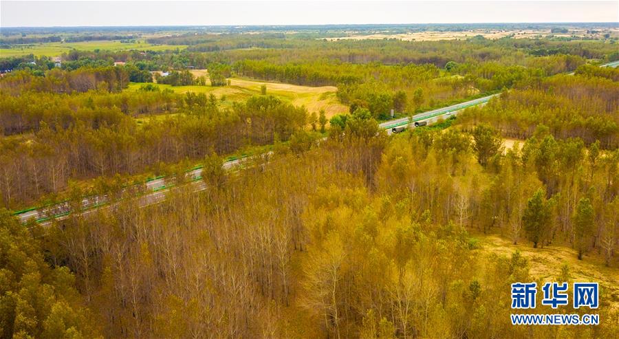 （在習(xí)近平新時代中國特色社會主義思想指引下——新時代新作為新篇章·習(xí)近平總書記關(guān)切事·圖文互動）（3）綠意，在黃沙中鋪展——我國防沙治沙紀(jì)實