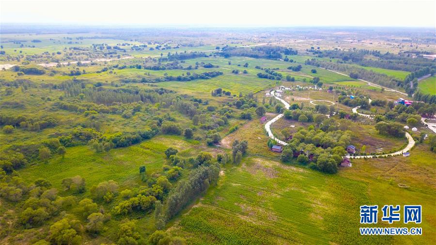 （在習(xí)近平新時代中國特色社會主義思想指引下——新時代新作為新篇章·習(xí)近平總書記關(guān)切事·圖文互動）（1）綠意，在黃沙中鋪展——我國防沙治沙紀(jì)實
