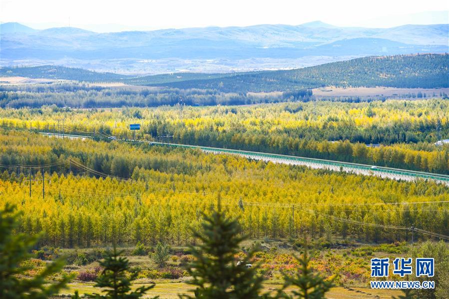 （在習(xí)近平新時代中國特色社會主義思想指引下——新時代新作為新篇章·習(xí)近平總書記關(guān)切事·圖文互動）（7）綠意，在黃沙中鋪展——我國防沙治沙紀(jì)實