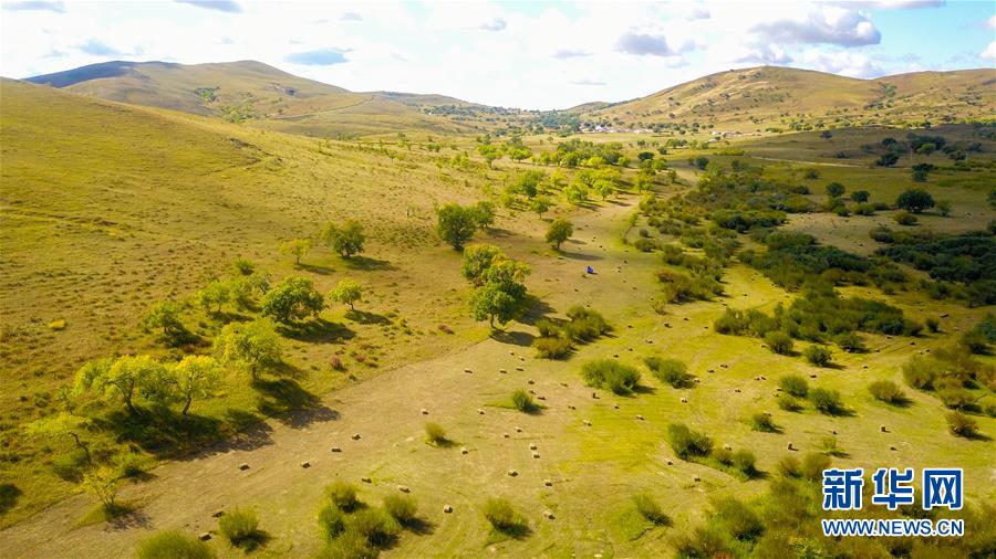（在習(xí)近平新時代中國特色社會主義思想指引下——新時代新作為新篇章·習(xí)近平總書記關(guān)切事·圖文互動）（4）綠意，在黃沙中鋪展——我國防沙治沙紀(jì)實
