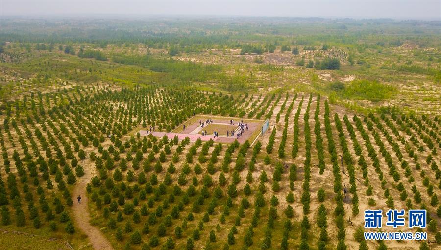 （在習(xí)近平新時代中國特色社會主義思想指引下——新時代新作為新篇章·習(xí)近平總書記關(guān)切事·圖文互動）（2）綠意，在黃沙中鋪展——我國防沙治沙紀(jì)實