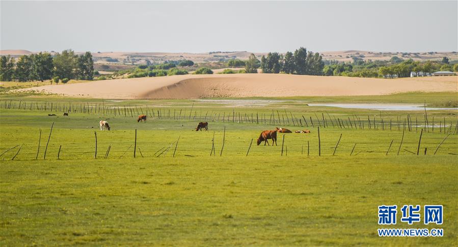 （在習(xí)近平新時代中國特色社會主義思想指引下——新時代新作為新篇章·習(xí)近平總書記關(guān)切事·圖文互動）（9）綠意，在黃沙中鋪展——我國防沙治沙紀(jì)實
