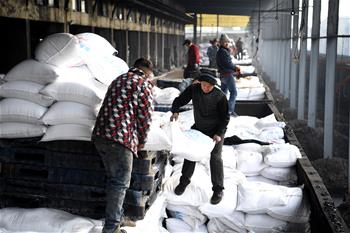 安徽:農(nóng)資“春運(yùn)”助春耕