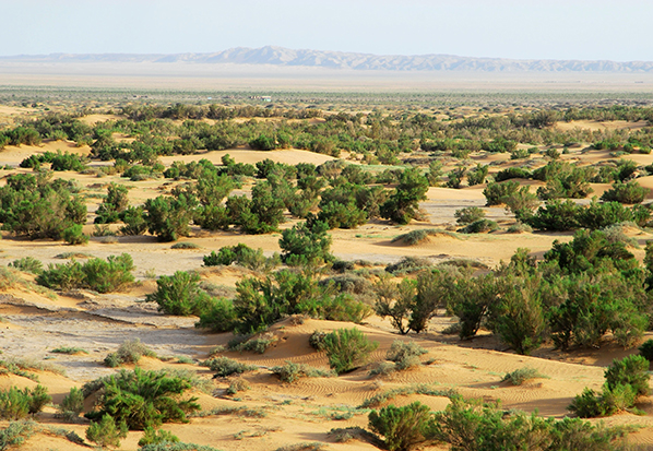 【長篇通訊】塞罕壩,京城綠色屏障的前世今生