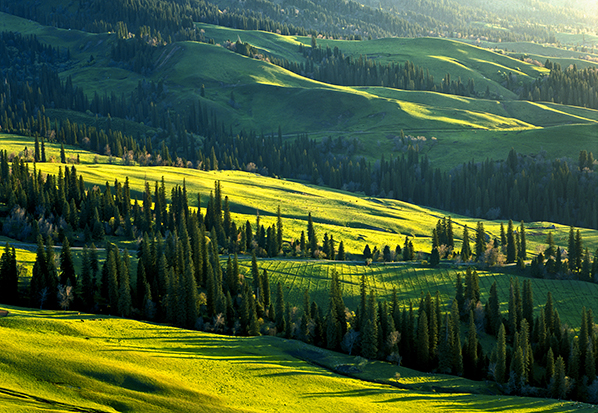 【長篇通訊】塞罕壩,京城綠色屏障的前世今生