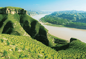 張建龍:“三北工程”實現生態、經濟、社會效益“多贏”