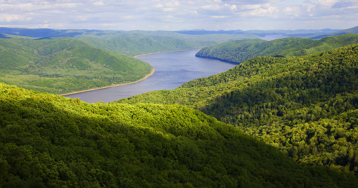 張建龍:“三北工程”實現生態、經濟、社會效益“多贏”
