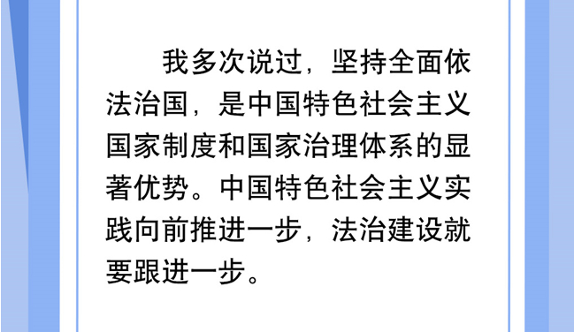 學習網評：發揮好法治在國家治理中的效能