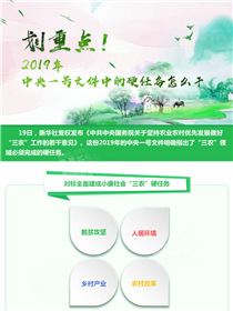 劃重點(diǎn)！2019年中央一號文件中的硬任務(wù)怎么干