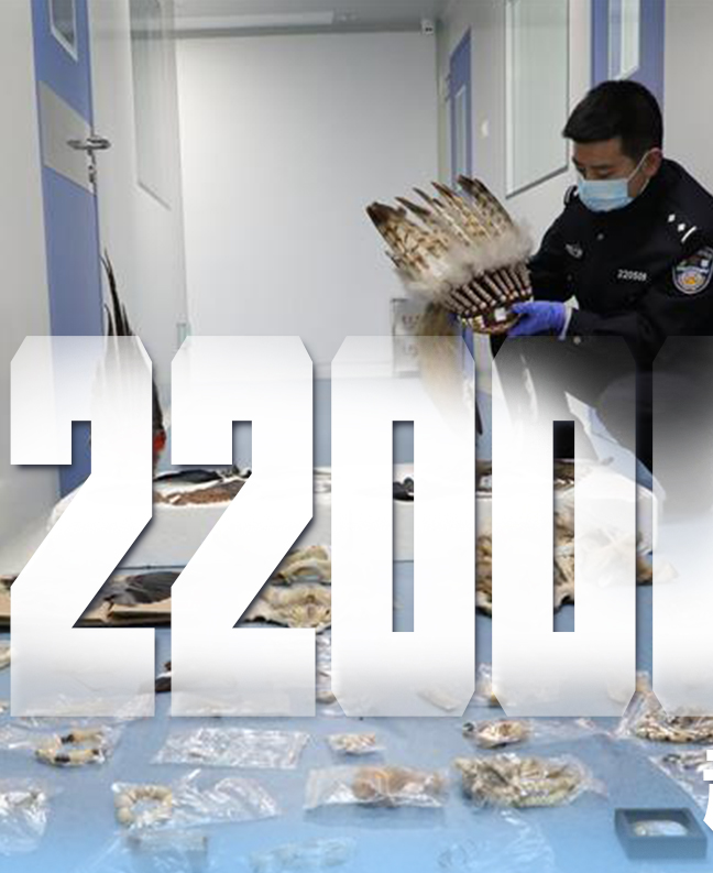 抗疫有“法”，就是這么給力！