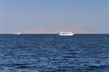 埃及總統(tǒng)批準向沙特“還島”協(xié)議