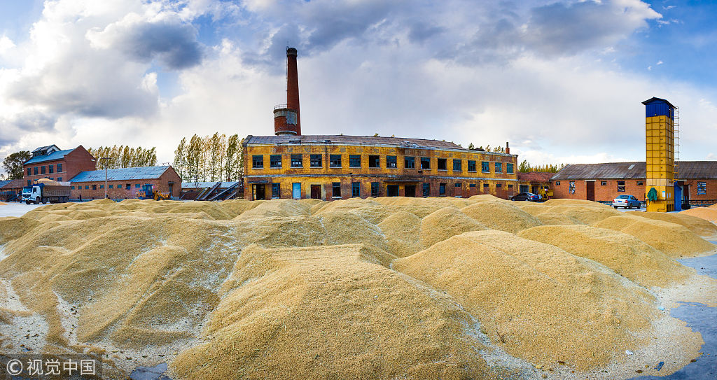 糧食收儲機(jī)制改革應(yīng)從價(jià)格支持轉(zhuǎn)向風(fēng)險(xiǎn)管理