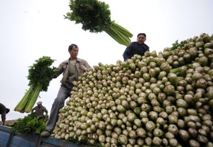 劉永富:發(fā)展產(chǎn)業(yè)脫貧仍是精準扶貧、精準脫貧主攻方向