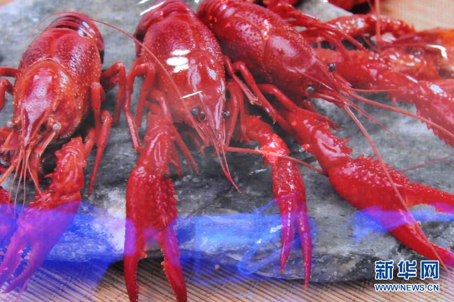 螺螄殼里做道場，小龍蝦吃出大產業