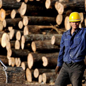 林業“國字號”改革