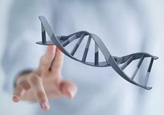 小細(xì)胞肺癌需要做基因檢測(cè)嗎？