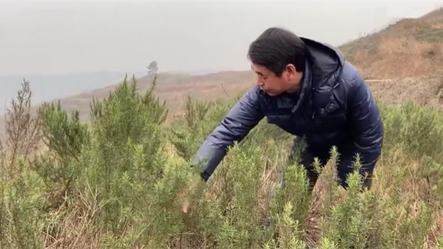 新春走基層｜脫貧后，駐村扶貧隊長在干啥？