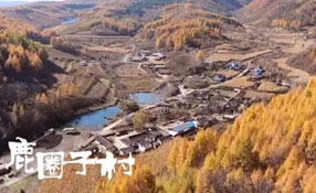 探秘關(guān)東人家，畫(huà)一個(gè)童話里的秋天