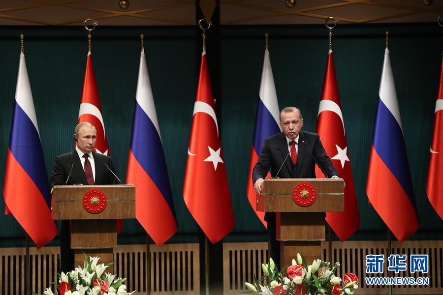 (國際)(1)土俄總統(tǒng)就國防和能源合作達(dá)成多項(xiàng)共識