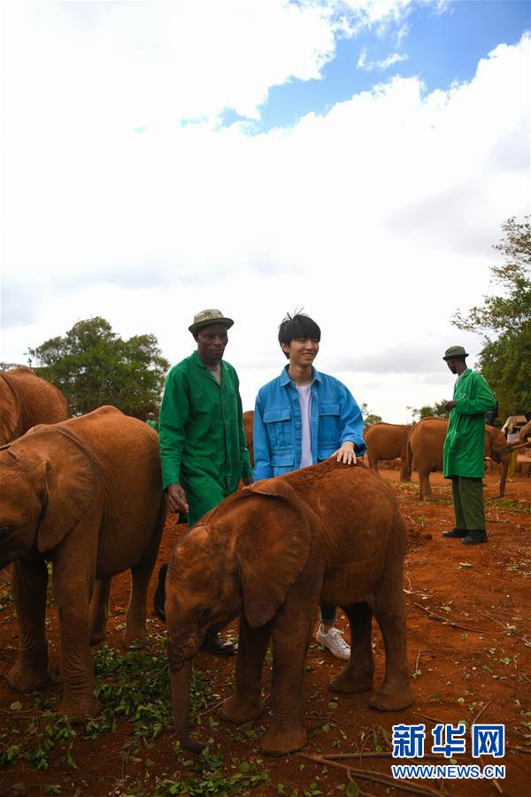 (國際·圖文互動)(3)專訪:環保要以身作則 從身邊小事做起——訪聯合國環境署親善大使王俊凱