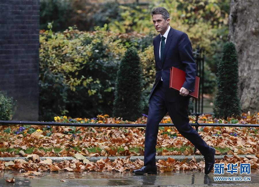 (國(guó)際)(1)英國(guó)國(guó)防大臣因泄密被解職