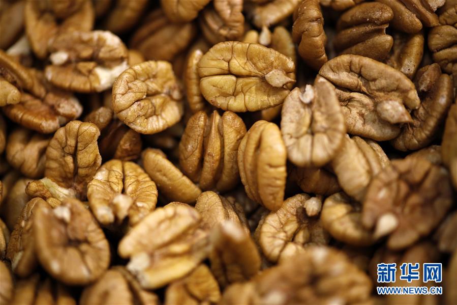 (國際·圖文互動)(9)通訊:期待美中盡早達成貿易協議——颶風和關稅夾擊下的美國山核桃種植戶盼重回中國市場