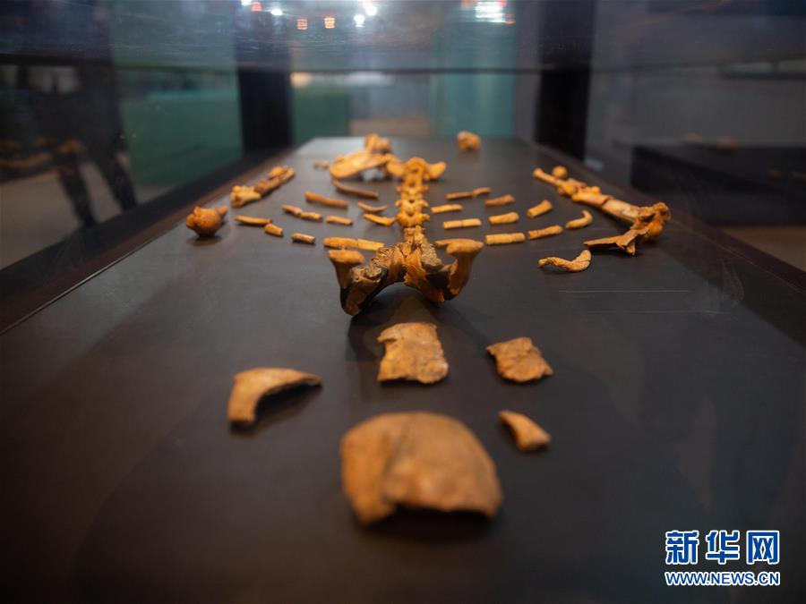 (國(guó)際)(1)探訪非洲博物館