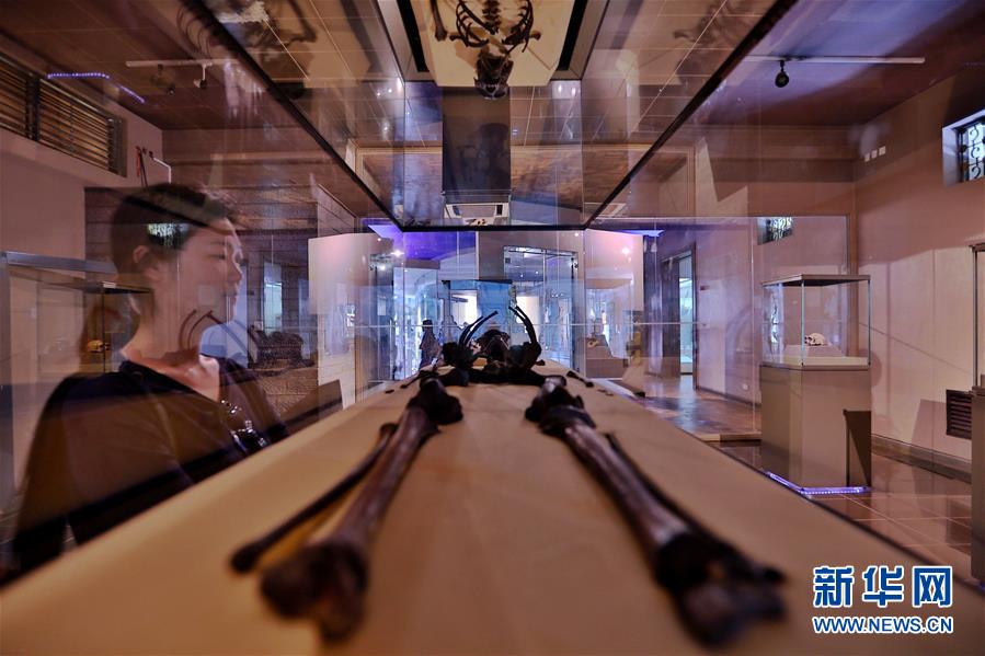 (國(guó)際)(11)探訪非洲博物館