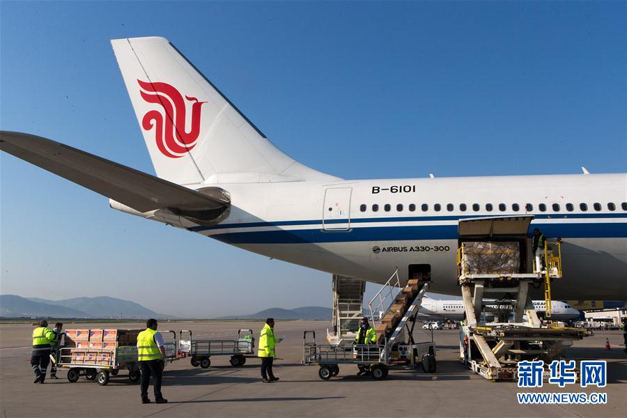 (國(guó)際疫情)(7)中國(guó)向希臘援助抗疫醫(yī)療物資