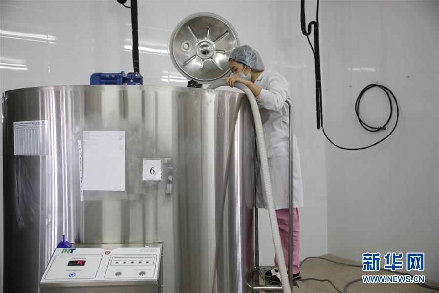 (國(guó)際·圖文互動(dòng))(4)從“先遣隊(duì)”到“正規(guī)軍”——哈薩克斯坦駱駝奶粉入華記