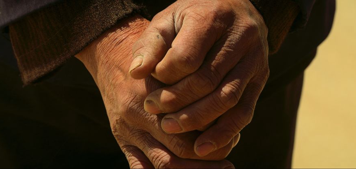 正式發布！《攜手，為人民》中國共產黨與世界政黨領導人峰會暖場片