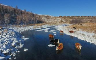 嚴(yán)寒中的“不凍河”